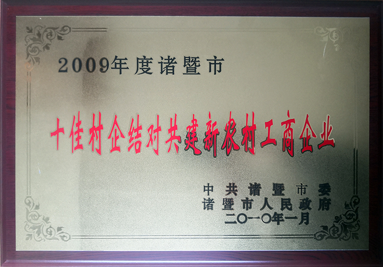 公司分别与牌头镇新五村、陶朱街道五蓬村和岭北镇梅坞村等结对，累计投入100多万元。
